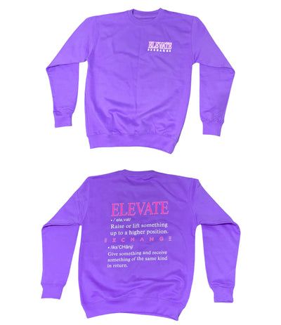 Unisex Definition Sweaters